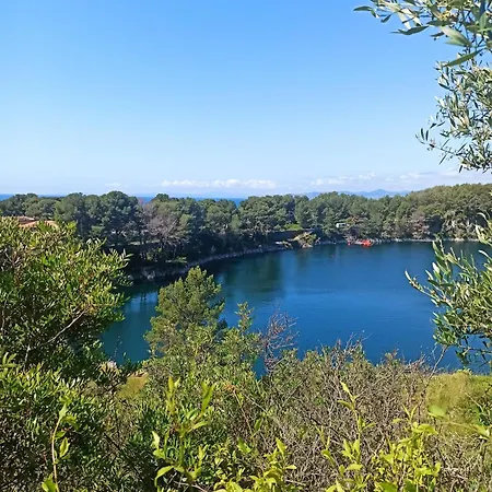 Lumineux, Proche Et Apartment