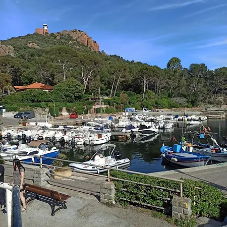 Lumineux Avec Piscine, Proche Et * Saint-Raphaël